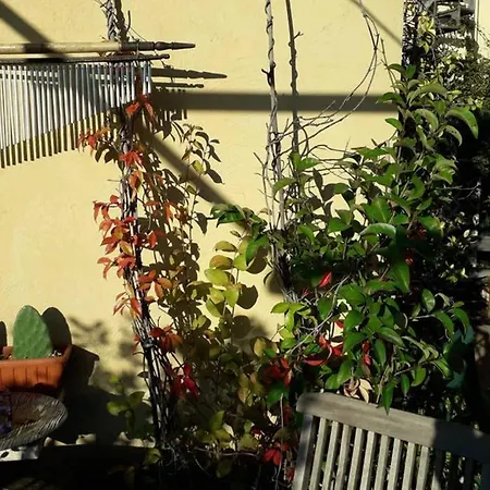 Little Arty Roma